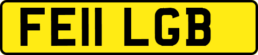 FE11LGB