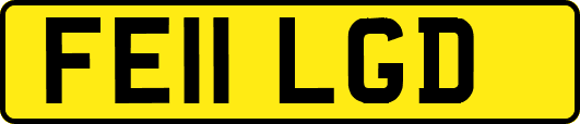 FE11LGD