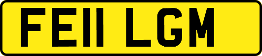 FE11LGM