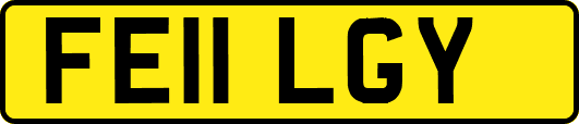 FE11LGY