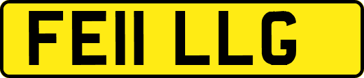 FE11LLG