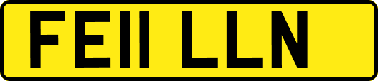 FE11LLN