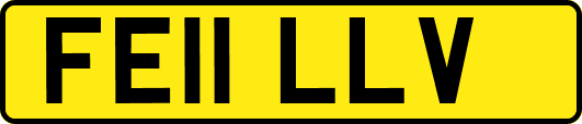 FE11LLV