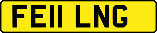 FE11LNG