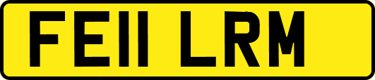 FE11LRM
