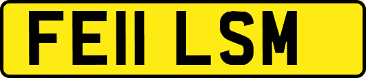 FE11LSM