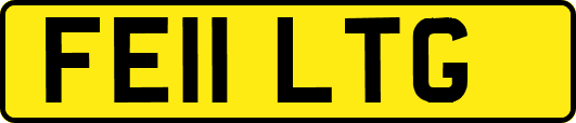 FE11LTG