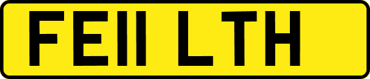 FE11LTH