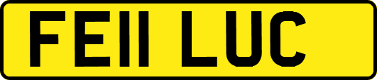 FE11LUC