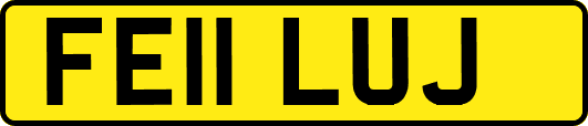FE11LUJ