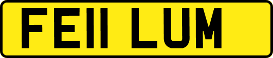 FE11LUM