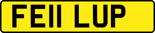 FE11LUP