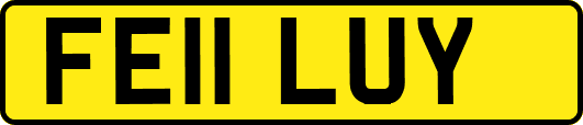 FE11LUY