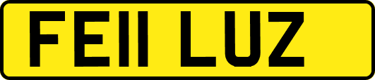 FE11LUZ