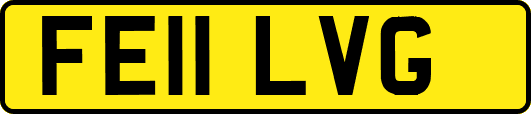 FE11LVG