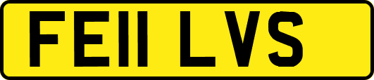 FE11LVS