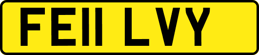 FE11LVY