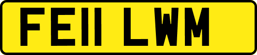 FE11LWM