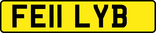 FE11LYB