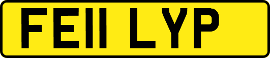 FE11LYP