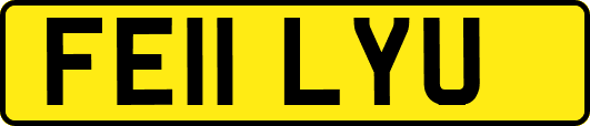 FE11LYU