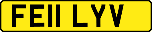 FE11LYV