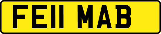 FE11MAB