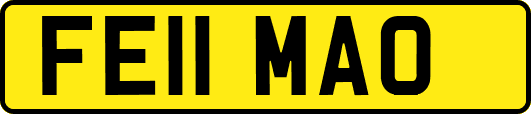FE11MAO