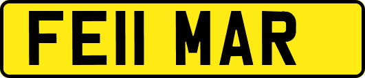 FE11MAR