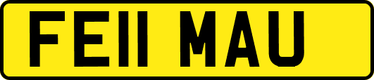FE11MAU