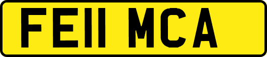 FE11MCA