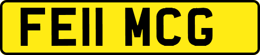 FE11MCG