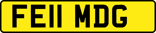FE11MDG