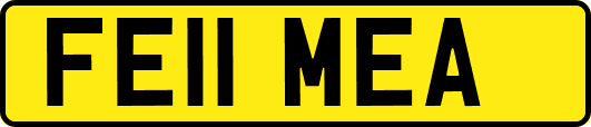 FE11MEA