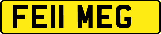 FE11MEG