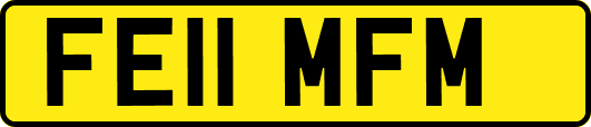 FE11MFM