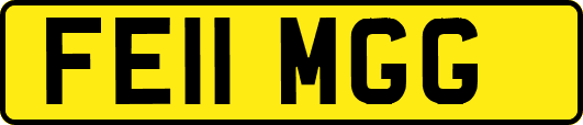 FE11MGG