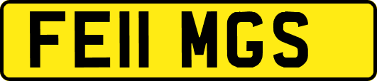 FE11MGS