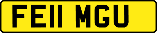 FE11MGU