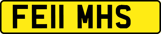 FE11MHS