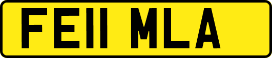 FE11MLA