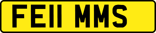 FE11MMS