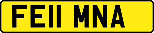 FE11MNA