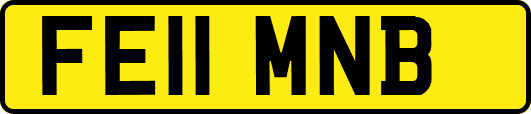 FE11MNB