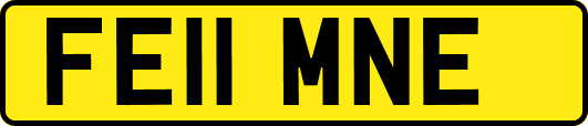 FE11MNE