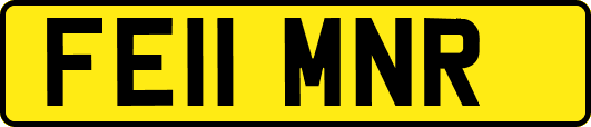 FE11MNR