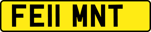 FE11MNT