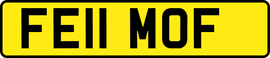 FE11MOF