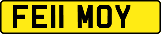 FE11MOY