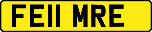 FE11MRE